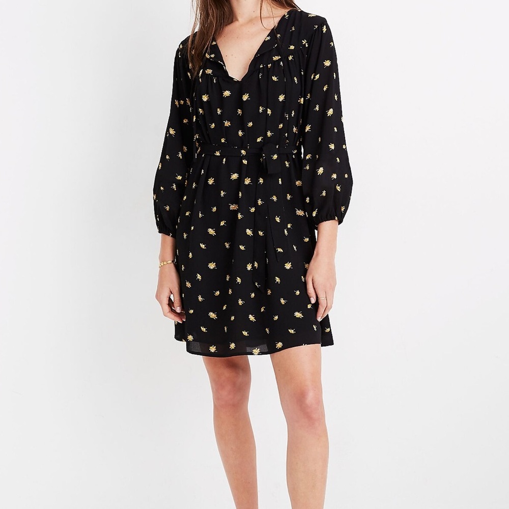 Madewell Tie-Waist Mini Dress in French Daisies Sz L